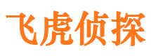 红河市侦探公司